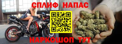 jwh Ставрополь