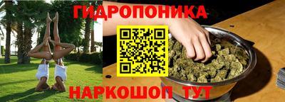 jwh Ставрополь