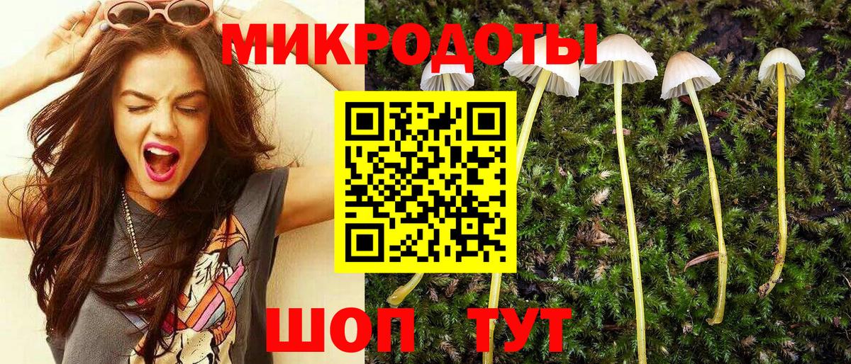 Галлюциногенные грибы Psilocybe  Вход с VPN  Галлюциногенные грибы ЛСД  Новочеркасск 