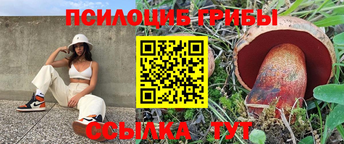 Псилоцибиновые грибы мицелий Новочеркасск
